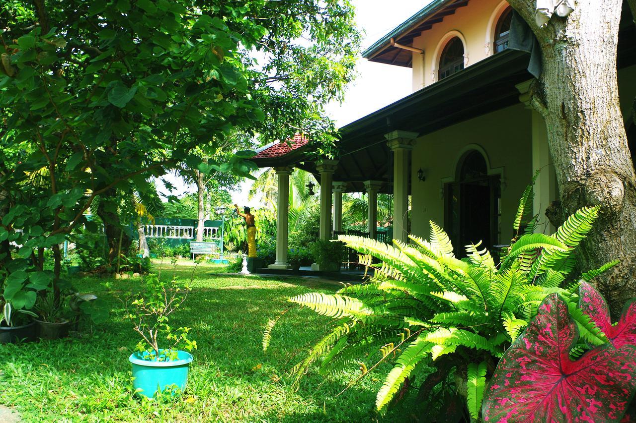 Villa Eco Green Negombo Exterior photo